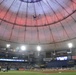 Tampa Bay Rays Military Appreciation Game First Pitch