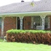 Brown Hedge Reveals Water Level From Flood