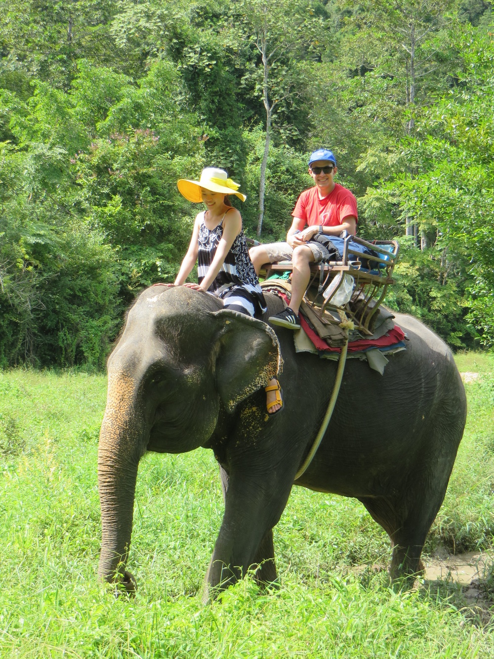 FED employee rides elephant in Korea