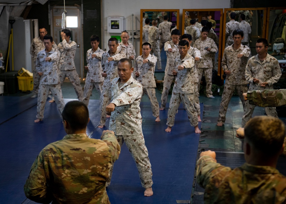 Task Force Warrior and Japanese Ground Self-Defense Force meet for combative training