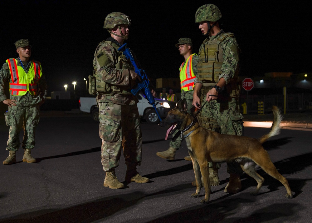 Force Protection Exercise on CLDJ