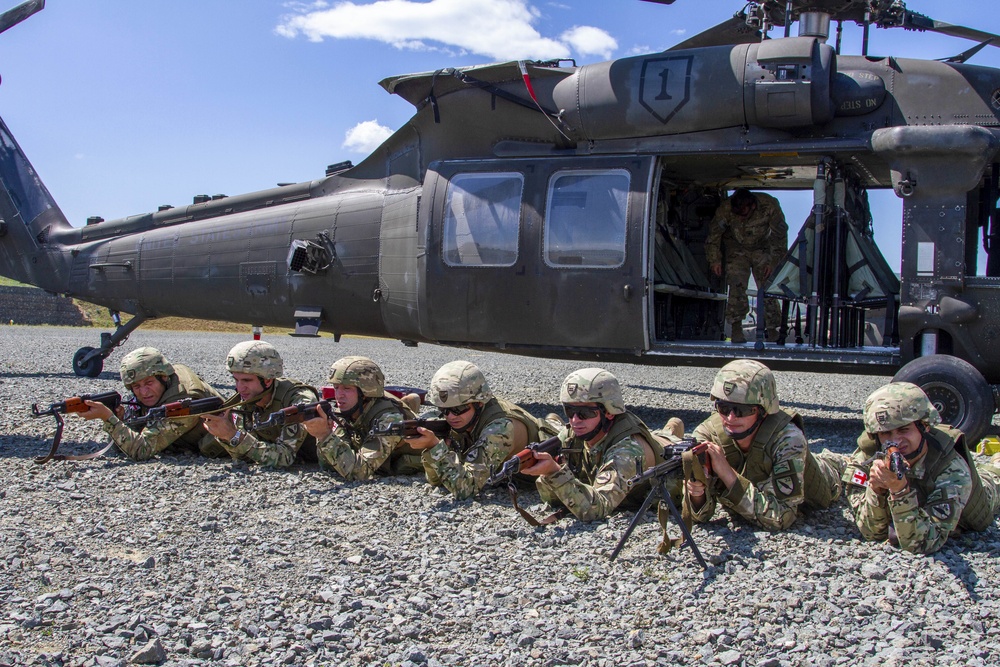 Multinational forces conducts cold load training