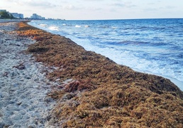 Factor in safety when planning a road trip for summer vacation