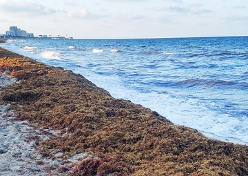 Of floods and seaweed – Factor in safety when planning a road trip for summer vacation