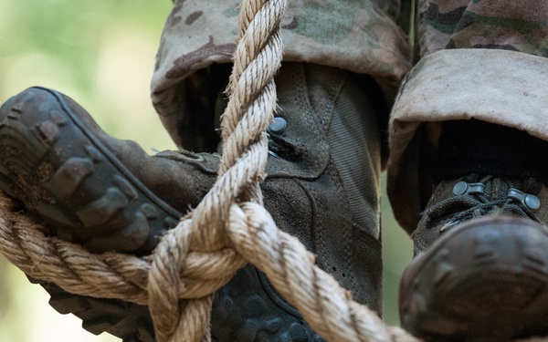 Rangers Lead the Way!