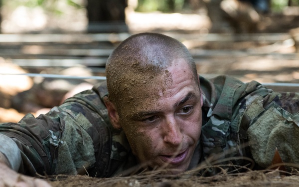 Rangers Lead the Way!