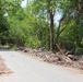 Twigs and Trees Line the Road