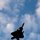 USAF F-22 Raptors arrive to RAAF Amberley in support of Talisman Sabre 19 USAF F-22 Raptors arrive to RAAF Amberley in support of Talisman Sabre 19