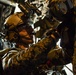 31st MEU Marines conduct HALO insert into Shoalwater Bay Training Area