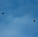 31st MEU Marines conduct HALO insert into Shoalwater Bay Training Area
