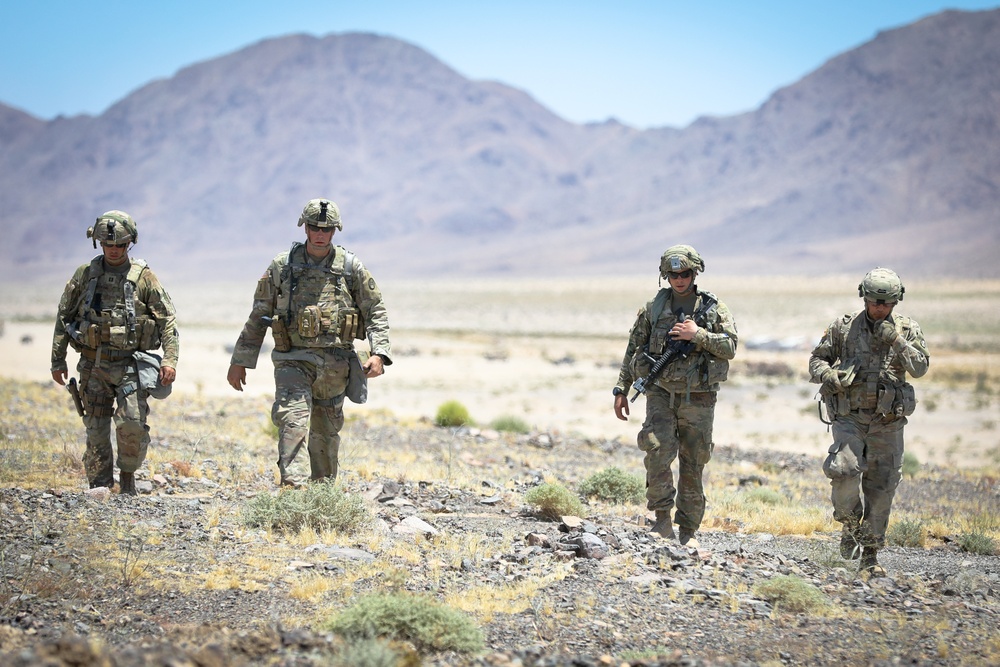 DVIDS - Images - Operation Hickory Sting - 30th ABCT at NTC [Image 3 of 3]