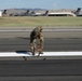 Airfield Management conducts inspection