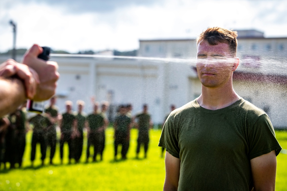 SAF Marines take on OC spray