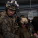 31st MEU Force Reconnaissance Marines execute visit, board, search and seizure aboard USS Ashland