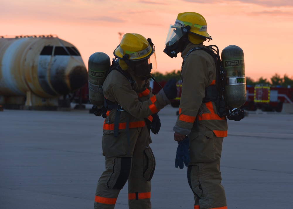 Fire Dog Friday Week 4