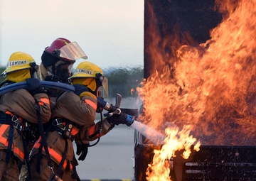 Fire Dog Friday Week 4