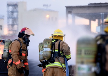 Fire Dog Friday Week 4