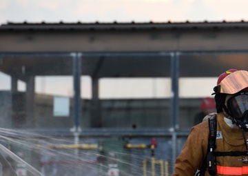 Fire Dog Friday Week 4