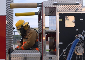 Fire Dog Friday Week 4