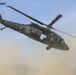 Multinational battalion conduct air assault training