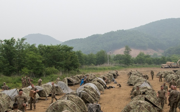 Setting up home in the field