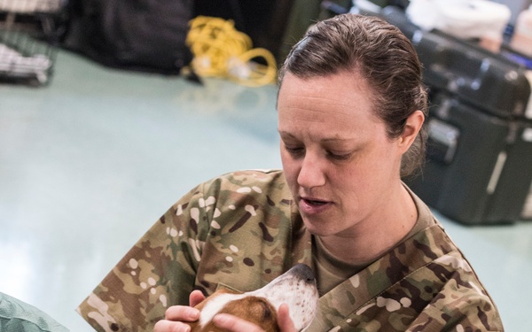 Healthy Cortland &amp; Greater Chenango Cares