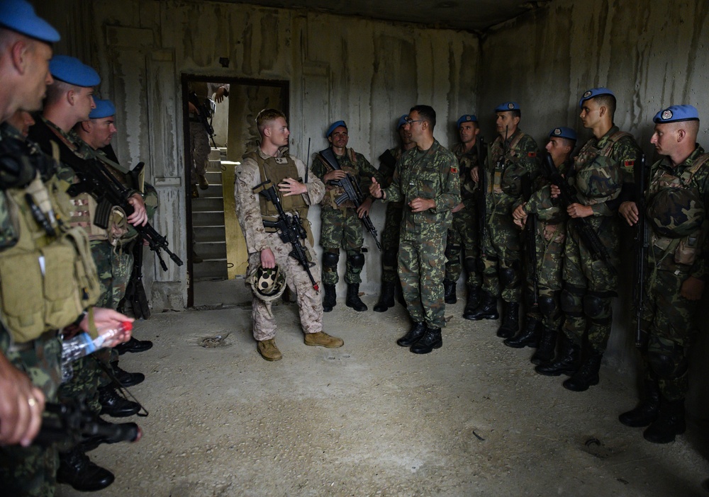 FASTEUR Marines Train with Albanian Service Members During Platinum Lion 2019