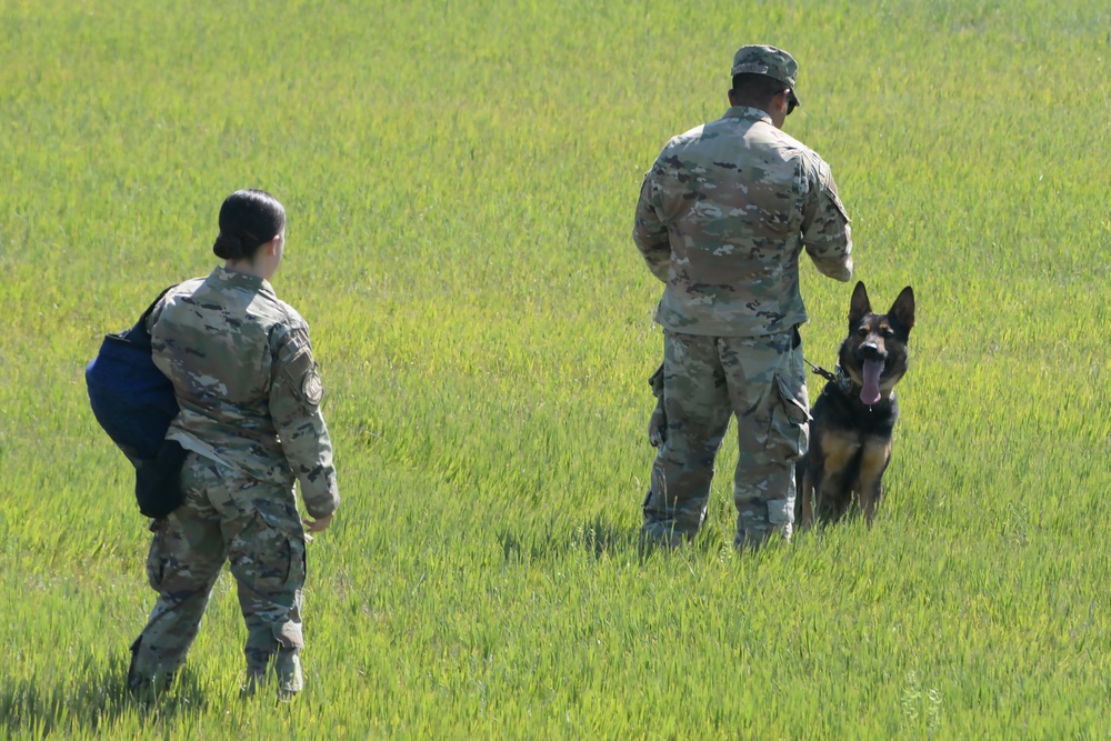 K-9 Demonstration