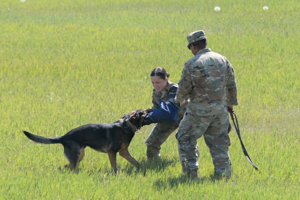 K-9 Demonstration