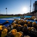 U.S. Air Force Academy BCT Field Day 2019