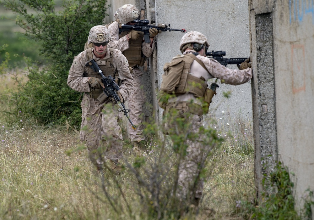 FASTEUR Marines Train with Bulgarian Service Members During Platinum Lion 2019