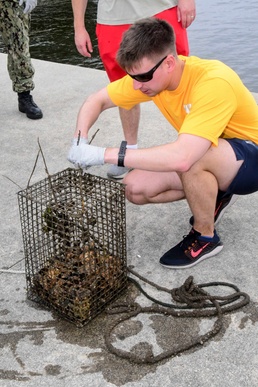NMCP Staff Volunteer Time to Clean Oyster Pods