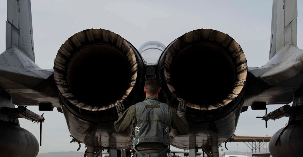 F-15C Eagle pilot looks over aircraft