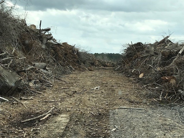 District employee deploys in support of southwest Georgia debris cleanup mission following Hurricane Michael