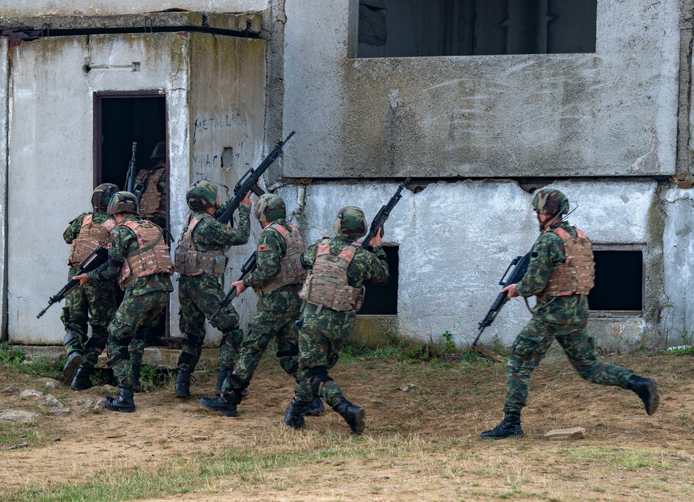 Albanian Service Members Participate in Simulated Raid During Platinum Lion 2019