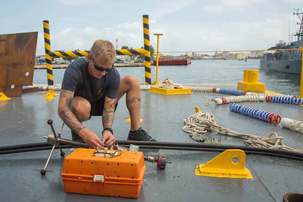 Navy Divers Strengthen Partnerships, On Land and Underwater!