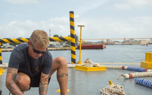 Navy Divers Strengthen Partnerships, On Land and Underwater!