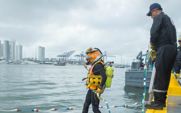 Navy Divers Strengthen Partnerships, On Land and Underwater!