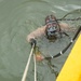 Navy Divers Strengthen Partnerships, On Land and Underwater!