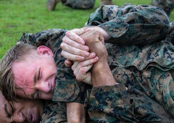 Mud and Blood