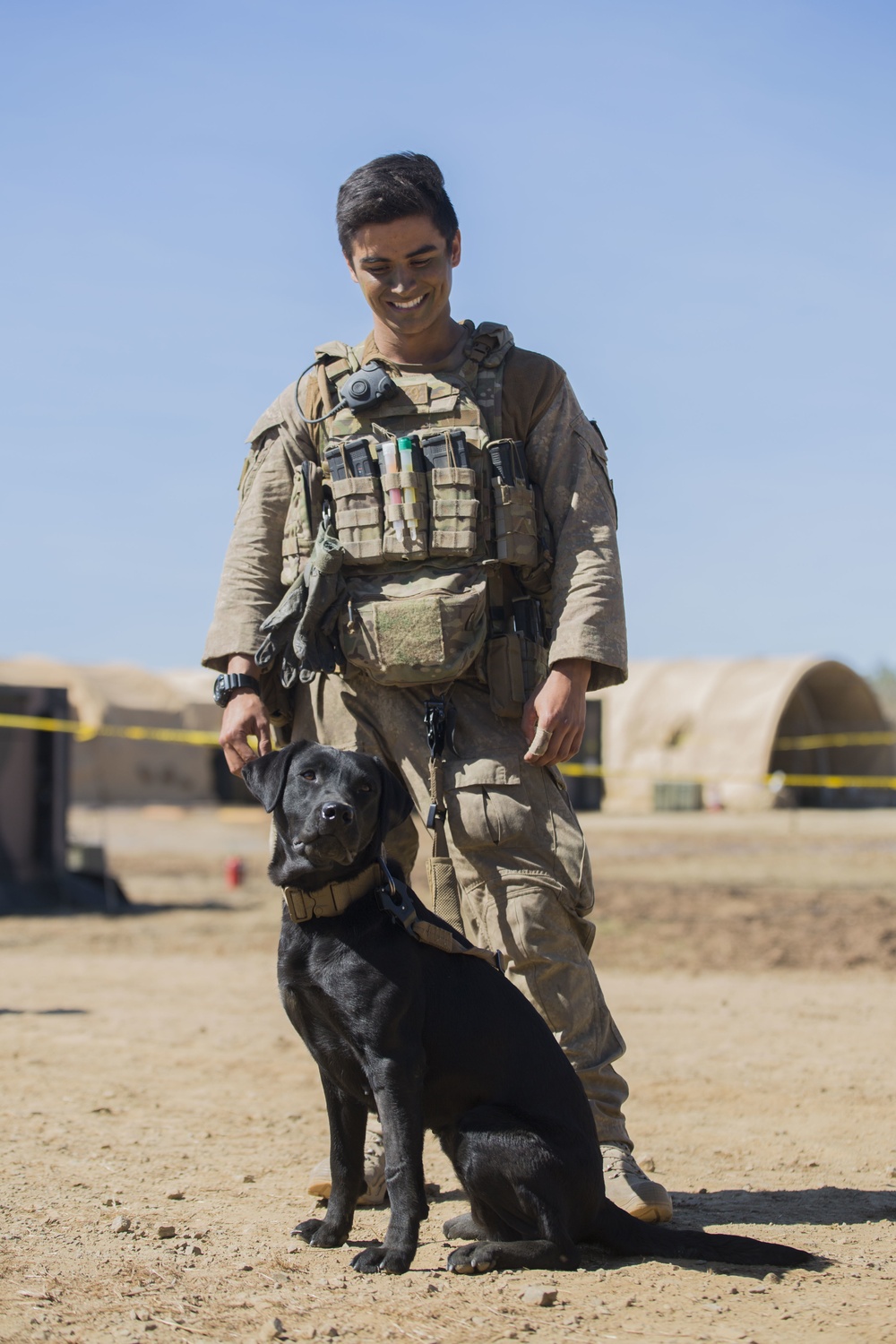 Iris the detector dog