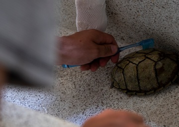 Cleaning up the Schools | CLB-4 Marines assist an AmerAsian School in Okinawa