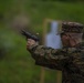 Reserve Marines conduct annual training at Joliet Army Training Area