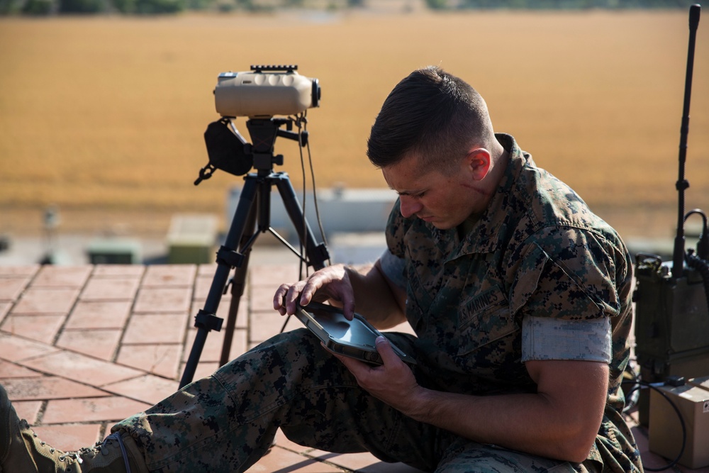 Close Air Support Training