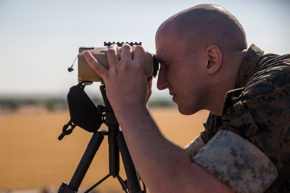 Close Air Support Training