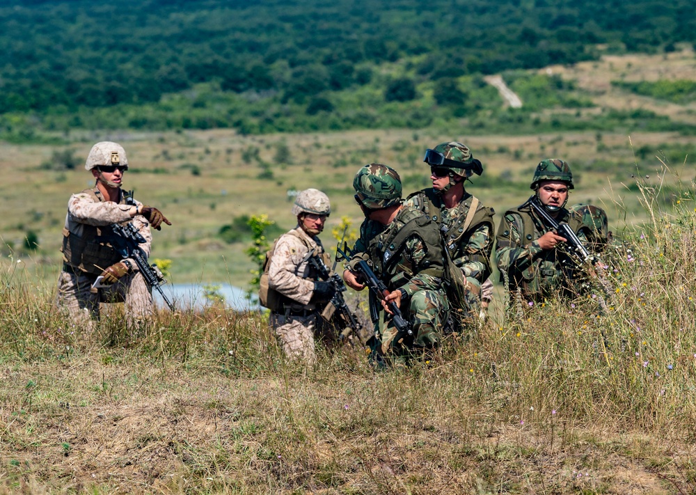 FASTEUR Marines Train with Bulgarian Service Members During Platinum Lion 2019