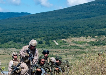 Marines with FASTEUR Participate in Platinum Lion 2019