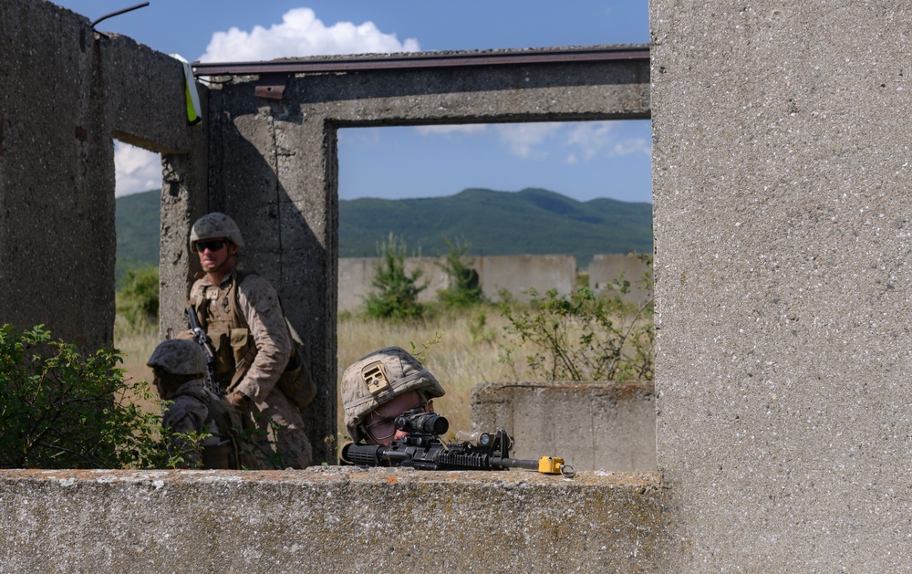 FASTEUR Marines Train with Bulgarian Service Members During Platinum Lion 2019