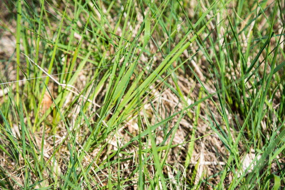JFC Brunssum training in Geilenkirchen