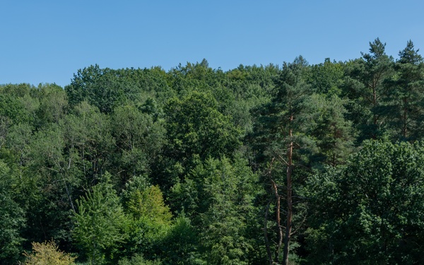 1 ID, 1 CAB Soldiers do Rugged Terrain Course